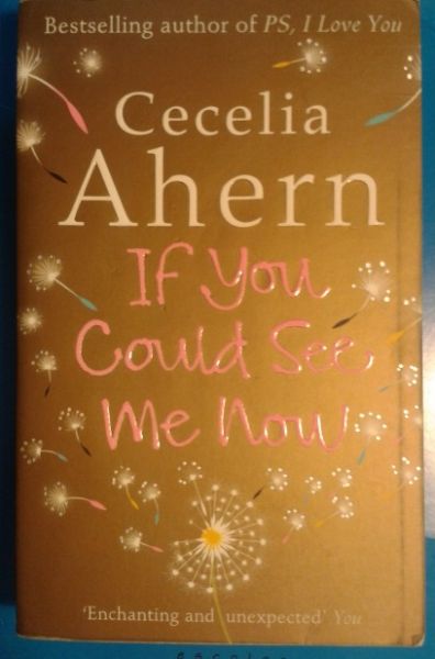 If You Could See Me Now - Cecilia Ahern